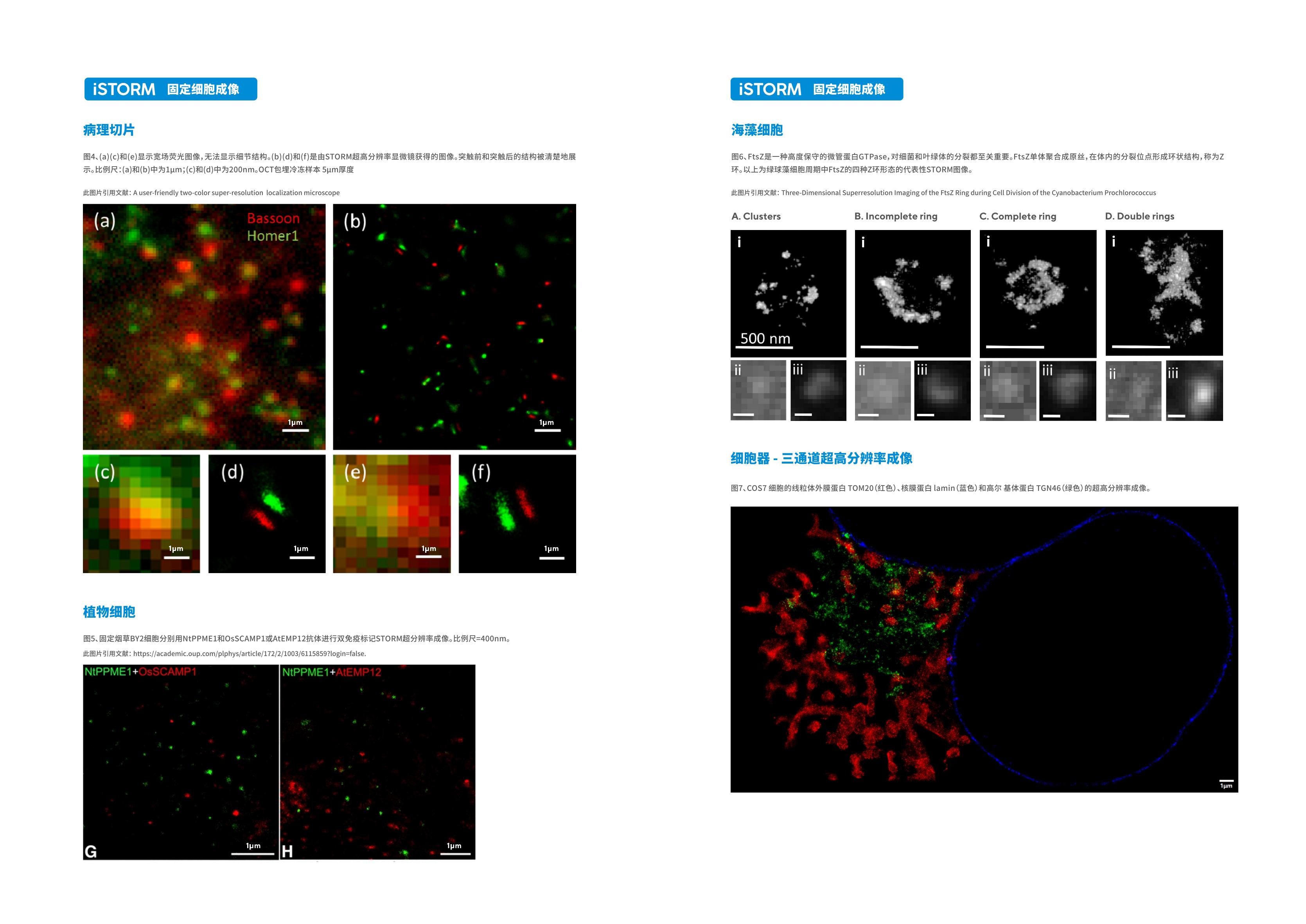 超高分辨率显微成像系统iSTORM手册 V1.0.0.1c_07.jpg