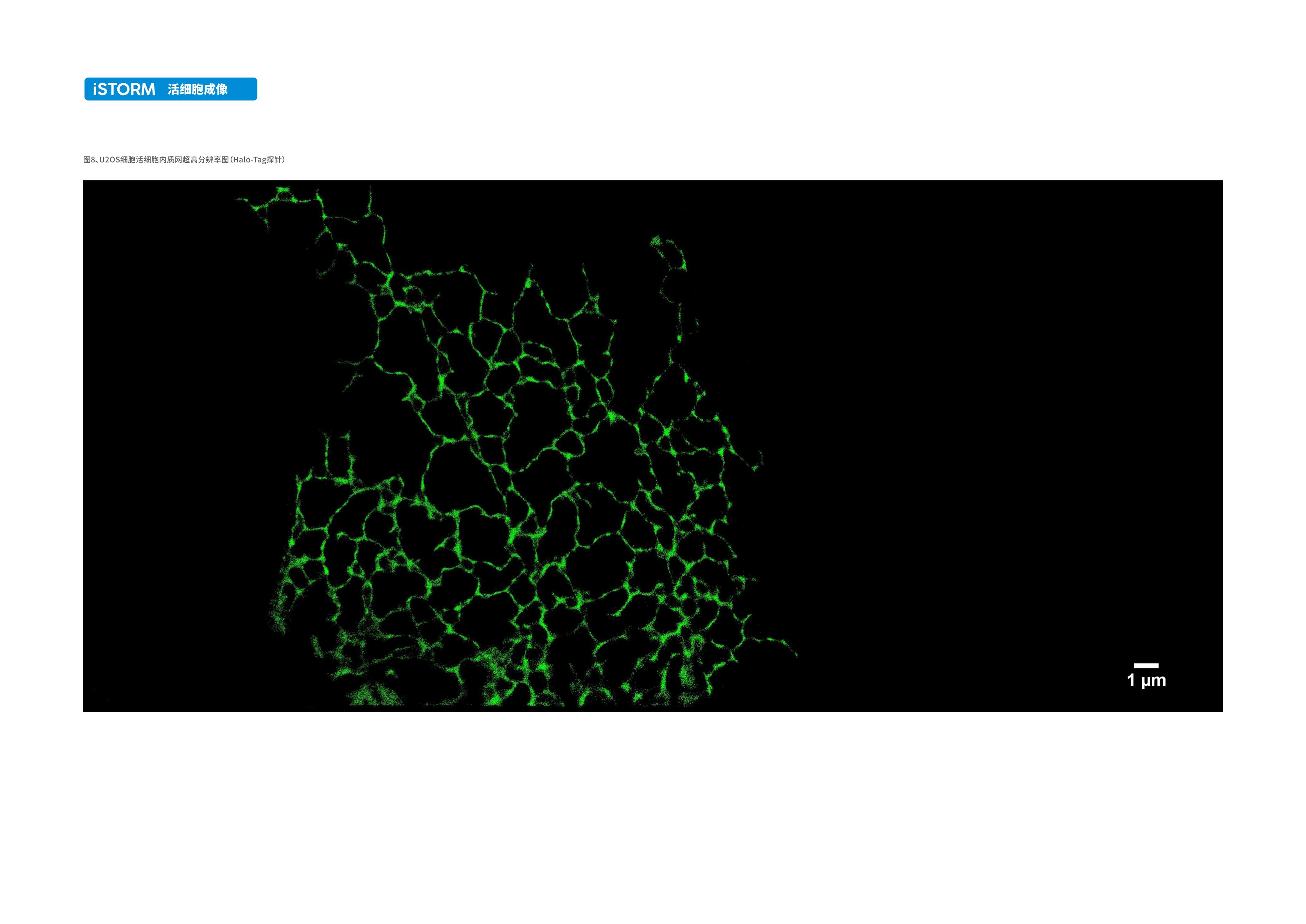 超高分辨率显微成像系统iSTORM手册 V1.0.0.1c_08.jpg